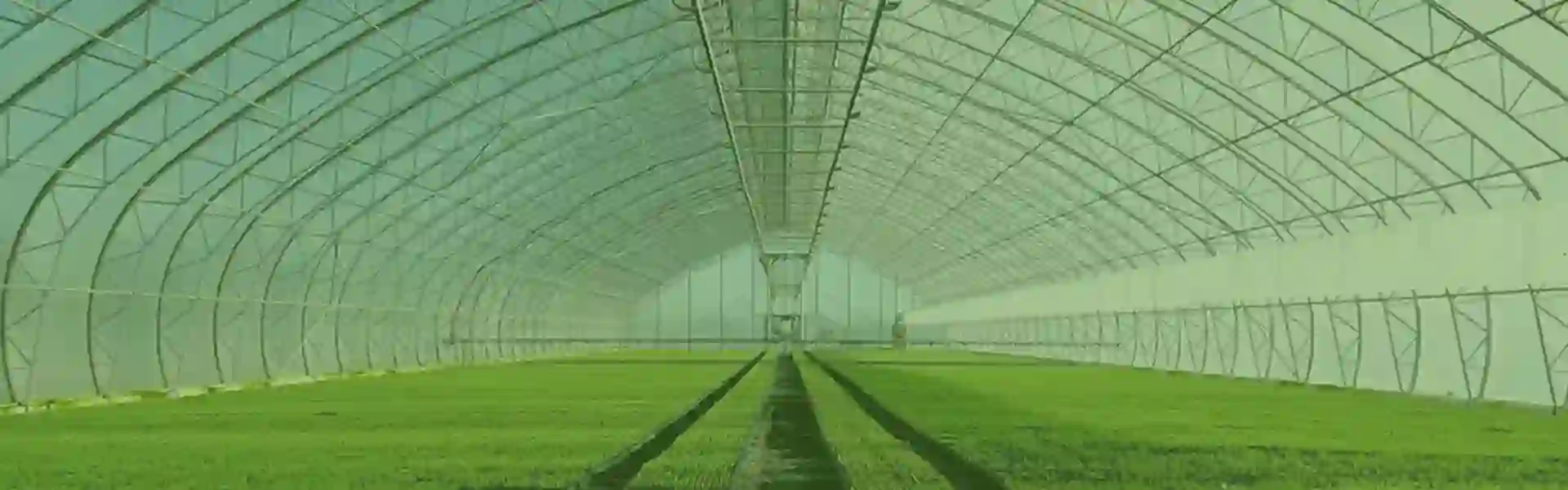 Sports Practice Nets